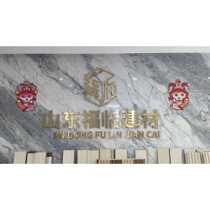 Shandong Fulin New Material Co., Ltd. Supplier Evaluation