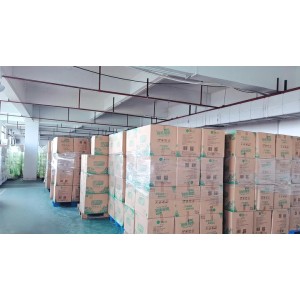 Foshan Bao Shi Jie Hygiene Supplies Co., Ltd. Supplier Evaluation