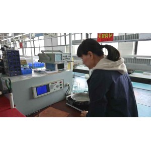 Zhongshan Dingxun Electric Appliance Co., Ltd. Supplier Evaluation