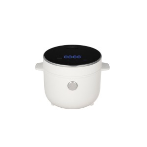 Zhongshan Boya Electric Appliance Co., Ltd. Supplier Evaluation