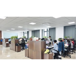 Ningbo Geyuan Electrical Appliance Co., Ltd. Supplier Evaluation