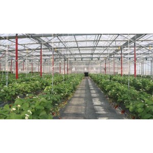 Jiangsu Oone International Trading Co., Ltd. Supplier Evaluation