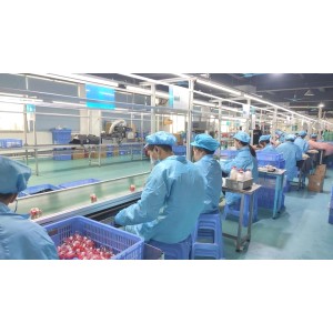 Dongguan Shanghao Plastic Products Co., Ltd. Supplier Evaluation