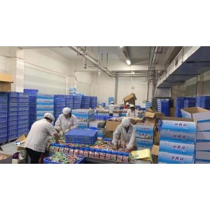 Foshan City Nanhai District Songgang Suifa Food Co., Ltd. Supplier Evaluation