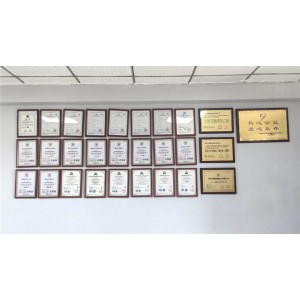 Chongqing Belon Power Machinery Co. , Ltd. Supplier Evaluation