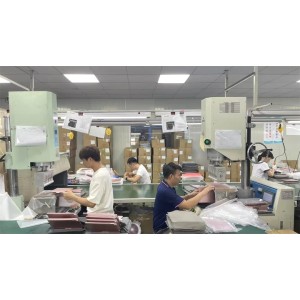 Dongguan Bluefinger Electronics Co., Ltd. Supplier Evaluation