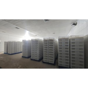 Shandong Sinofarm Food Co., Ltd. Supplier Evaluation