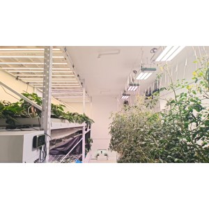 Sinowell (Shanghai) Co., Ltd. Supplier Evaluation