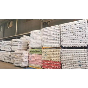 Hebei Niuyuan Technology Co.,Ltd Supplier Evaluation