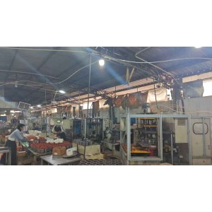 Dongguan Minxin Industry Co., Ltd. Supplier Evaluation