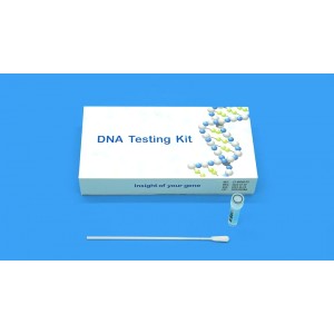 Huachenyang (Shenzhen) Technology Co., Ltd Supplier Evaluation