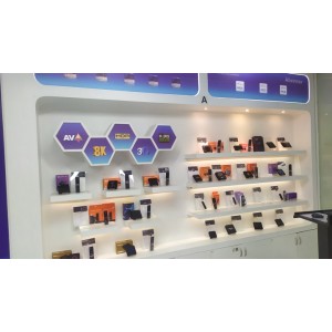 Shenzhen Topleo Technology Limited Supplier Evaluation