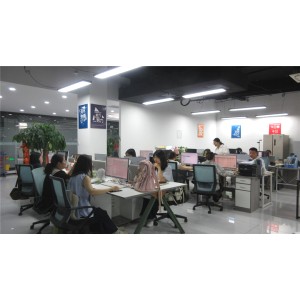 Hochey Medical Co., Ltd. Supplier Evaluation