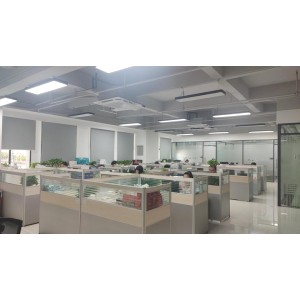 Guangdong Roman Technology Co., Ltd. Supplier Evaluation