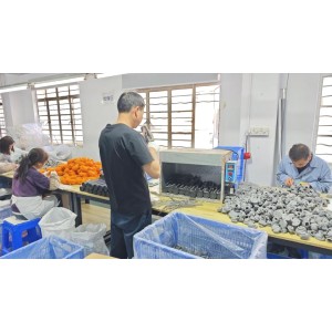 Dongguan Zhongxin Long Plastic Toys And Gifts Co., Ltd. Supplier Evaluation