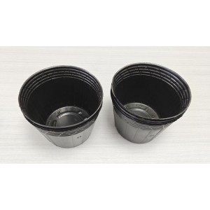 Shandong Evergreen Industries Ltd. Supplier Evaluation
