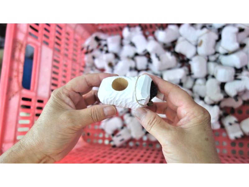 Jilin Xinsilu Handicraft Development Co., Ltd. Supplier Evaluation