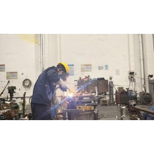 Shanghai Young Mould Co., Ltd. Supplier Evaluation