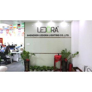 Shenzhen Ledora Lighting Co., Ltd. Supplier Evaluation