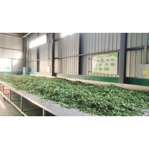 Pingli Yiming Tea Co., Ltd. Supplier Evaluation