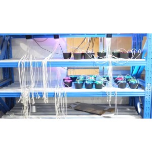 Shenzhen Jianbiao Digital Trade Ltd. Supplier Evaluation