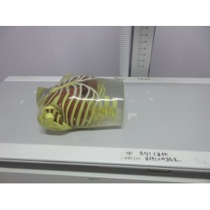 Medsinglong Co., Ltd. Supplier Evaluation