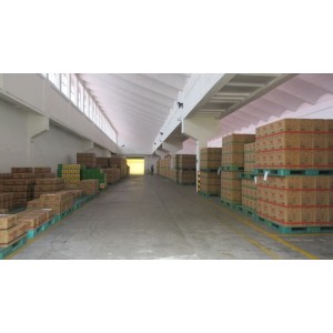 Shandong Luhua Group Trading Co., Ltd. E-Commerce Branch Supplier Evaluation