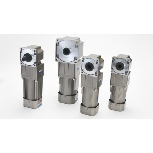 Sanmen Taili Motor Co., Ltd. Supplier Evaluation