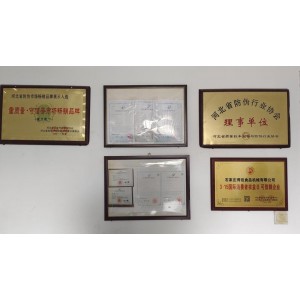Shijiazhuang Borui Food Machinery Co., Ltd. Supplier Evaluation