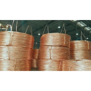 Guangzhou Ronde Industrial Co., Ltd. Supplier Evaluation