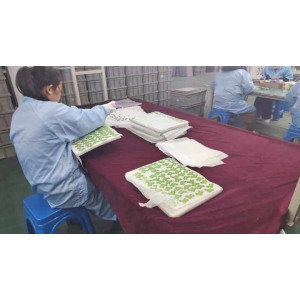 Kunshan Kaisite Trade Co., Ltd. Supplier Evaluation