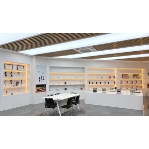 Zhongshan Canxin Electrical Appliances Co., Ltd. Supplier Evaluation