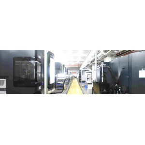Dongguan Milv Technology Co., Ltd. Supplier Evaluation