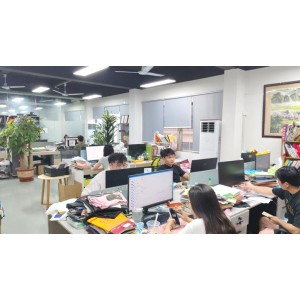 Dongguan Longna Garment Co., Ltd. Supplier Evaluation