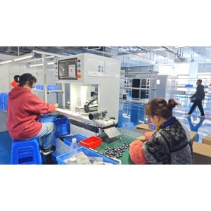 Dongguan Lixiangsheng Electronic Techolohy Co., Ltd. Supplier Evaluation