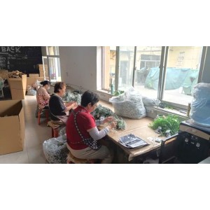 Yopin Design Co., Ltd. Supplier Evaluation