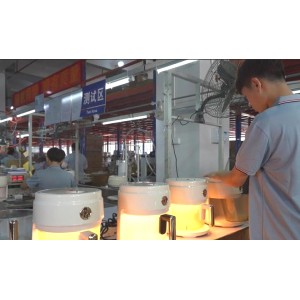 Zhongshan Legend Electrical Appliance Co., Ltd. Supplier Evaluation