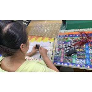 Huizhou Taiqi Technology Co., Ltd. Supplier Evaluation