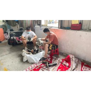 Guangdong Hissen Resources Recycling Co., Ltd. Supplier Evaluation