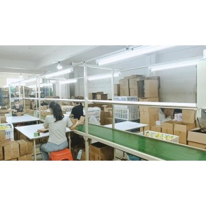Guangdong Baisi Toys Co., Ltd. Supplier Evaluation