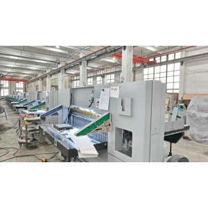 Ruian Dapeng Printing Machinery Co., Ltd. Supplier Evaluation