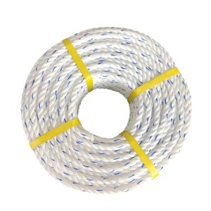 Linyi Dongtalent Plastics Co., Ltd. Supplier Evaluation