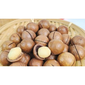 Guangxi Jingbo International Trade Co., Ltd. Supplier Evaluation