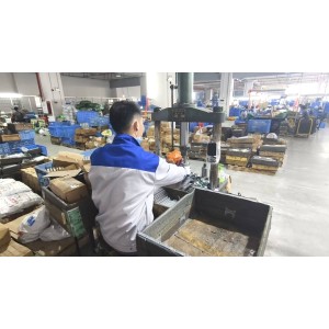 Phoenix (Z.S) Hardware & Electrical Co., Ltd. Supplier Evaluation