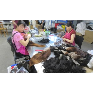 Xuchang Alice Hair Products Co., Ltd. Supplier Evaluation