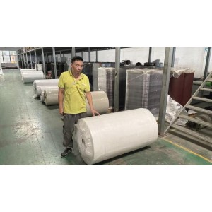 Guangzhou Anolly Advanced Materials Co., Ltd. Supplier Evaluation