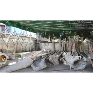 Dong Guan  Hongli Craftworks Co., Ltd. Supplier Evaluation
