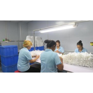 Shenzhen Hongyu Silicone Products Co., Ltd. Supplier Evaluation