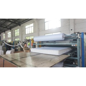Everen Industry Company Limited Supplier Evaluation