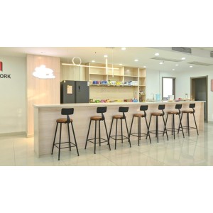 100 Horse Technology (Wuxi) Co., Ltd. Supplier Evaluation